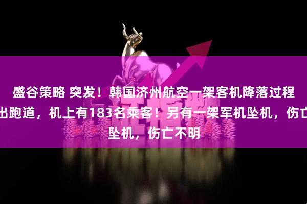 盛谷策略 突发！韩国济州航空一架客机降落过程中冲出跑道，机上有183名乘客！另有一架军机坠机，伤亡不明