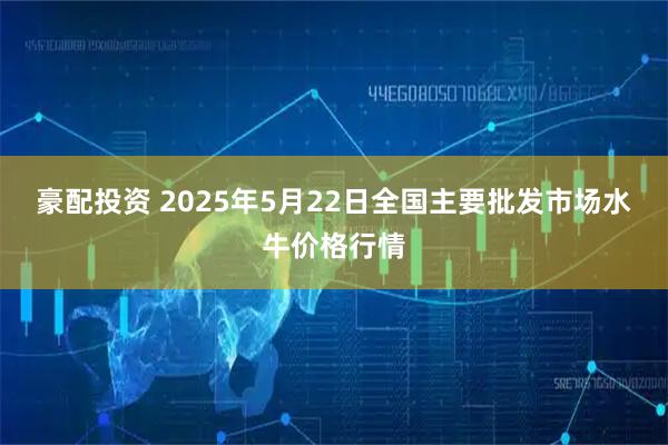 豪配投资 2025年5月22日全国主要批发市场水牛价格行情